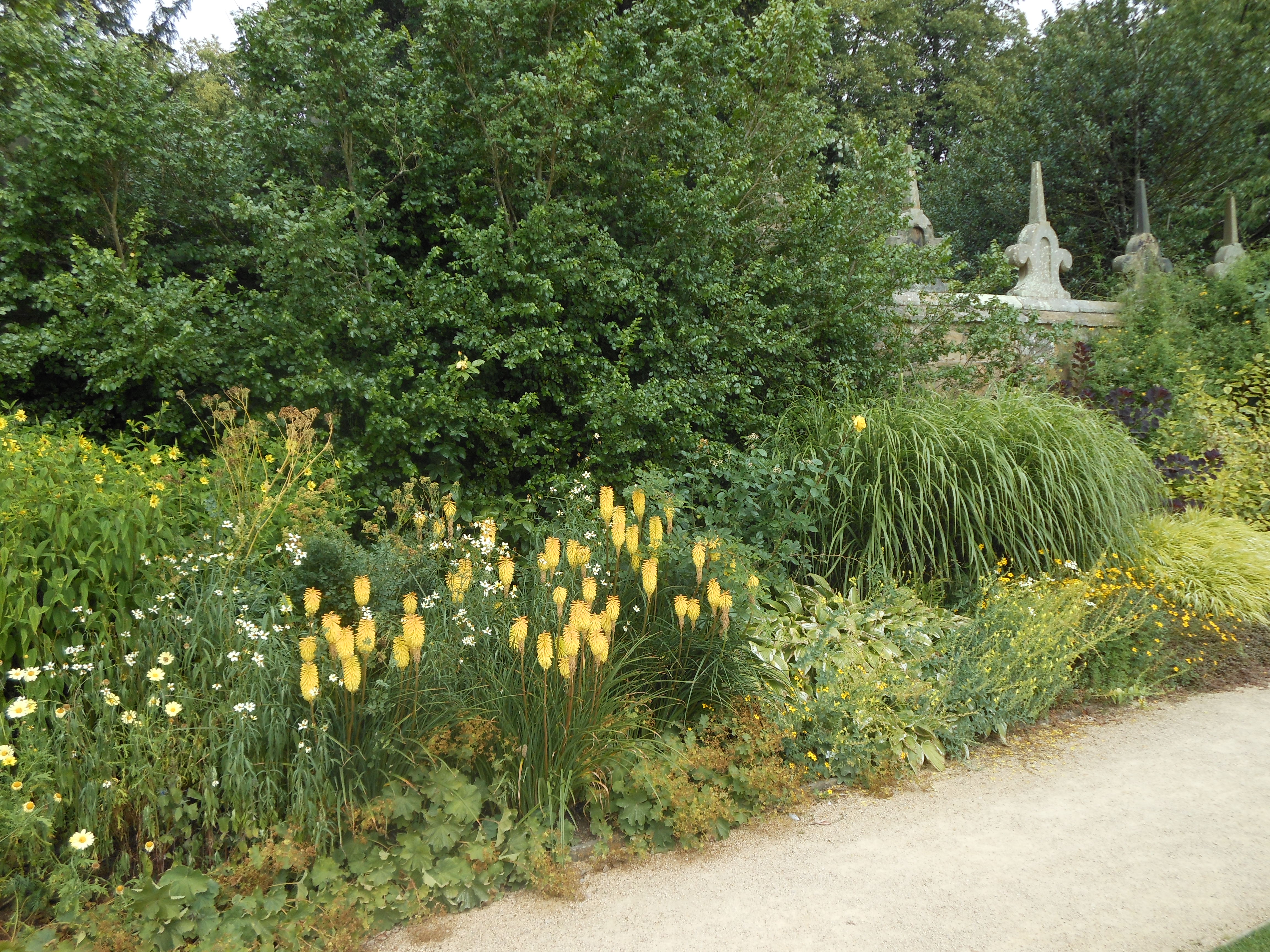 August Craft Sunflower